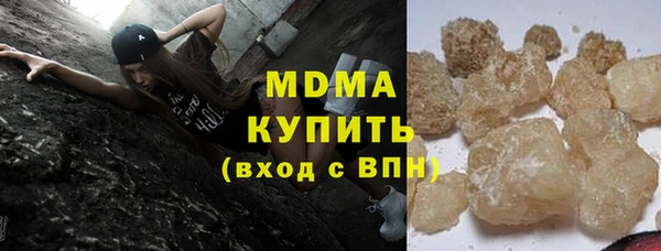 индика Вязьма
