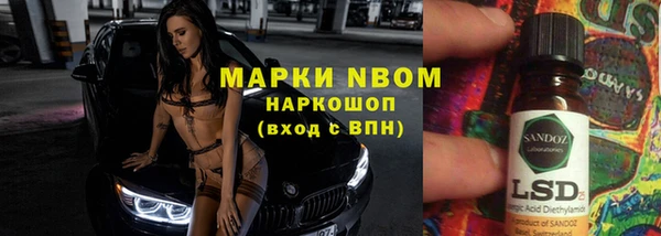 индика Вязьма