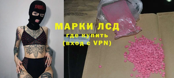 индика Вязьма