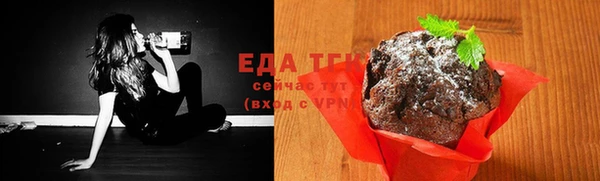 индика Вязьма
