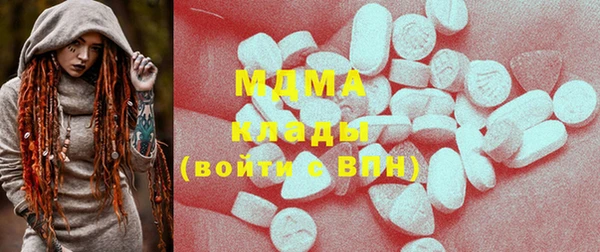 индика Вязьма