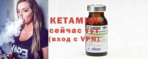 индика Вязьма