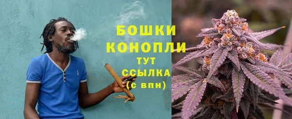 индика Вязьма