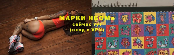 индика Вязьма