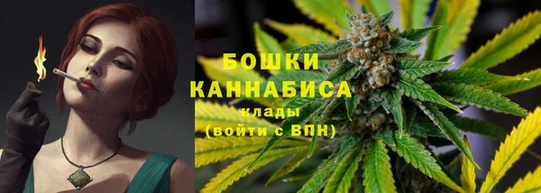 индика Вязьма