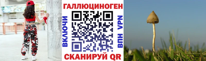 Галлюциногенные грибы мухоморы Кочубеевское